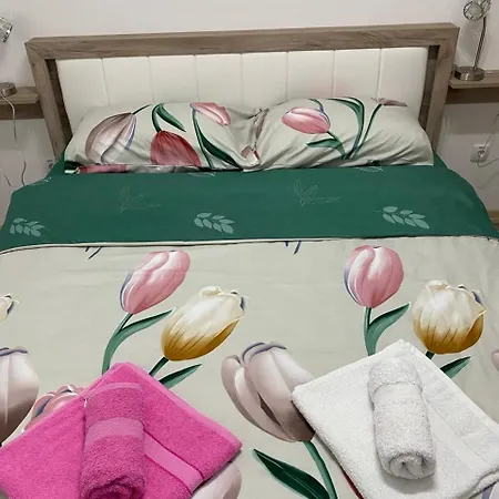 Appartement Tri Palme 2