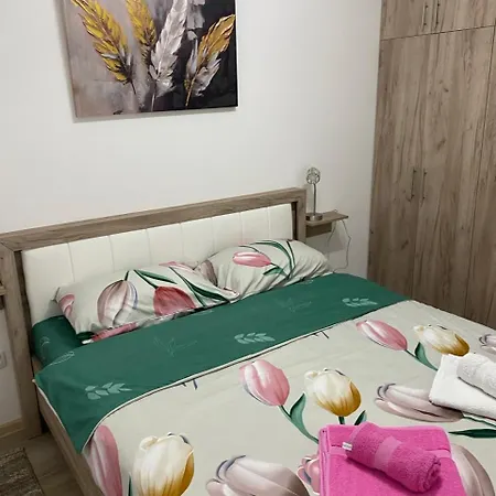 Appartement Tri Palme 2